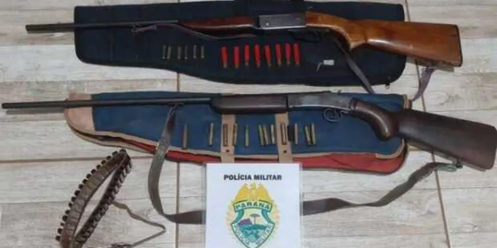Animais estavam trancados no porta-malas; todos fugiram quando porta foi aberta