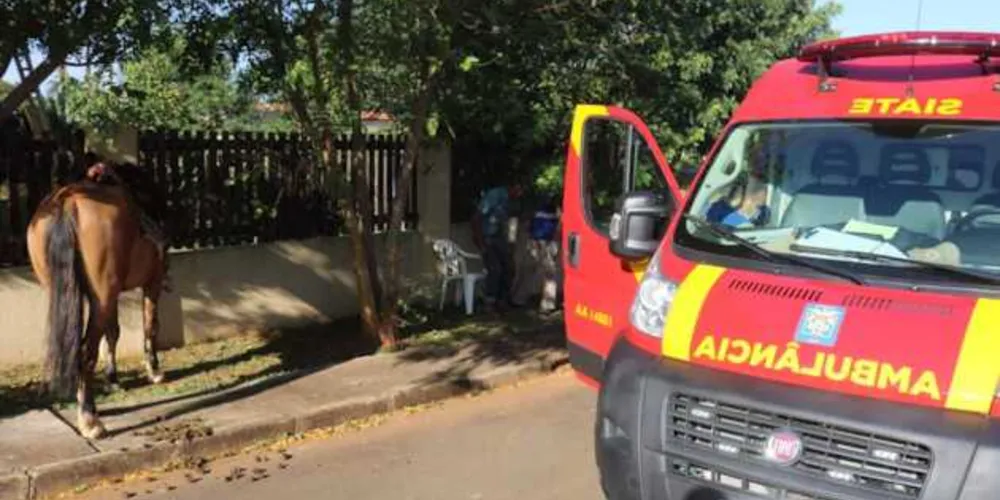 Homem de 65 anos teve ferimentos no rosto e braço