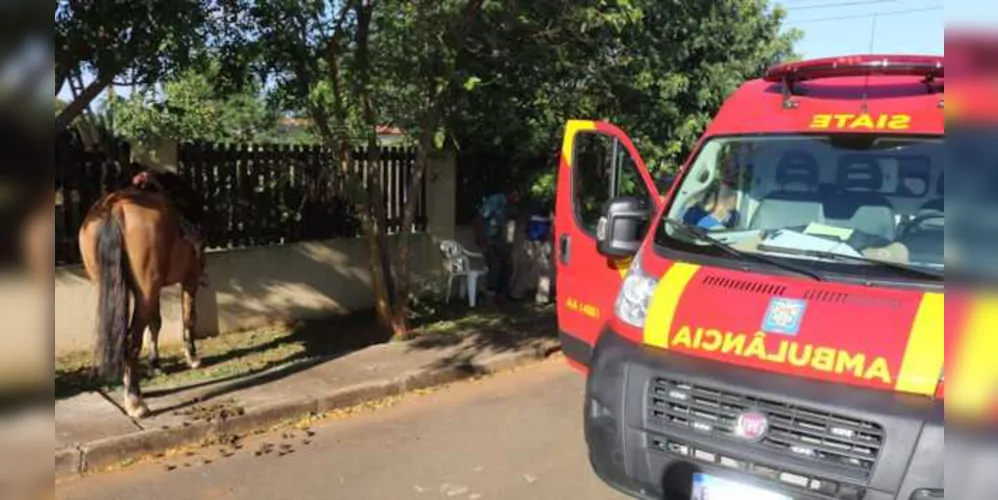 Homem de 65 anos teve ferimentos no rosto e braço