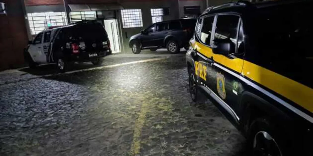 Imagem ilustrativa da imagem Motorista é preso após bater veículo na BR-376