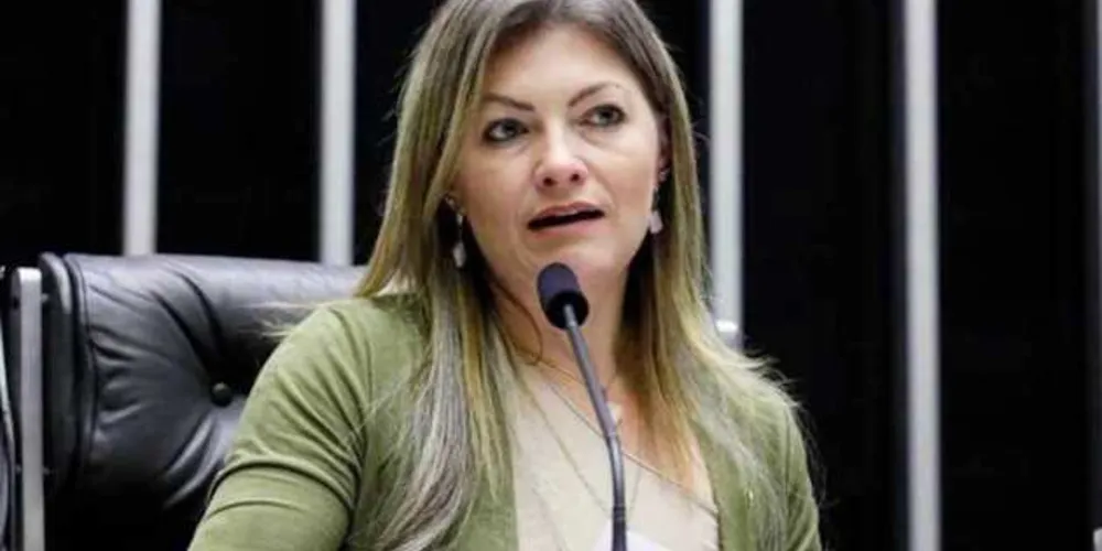 Imagem ilustrativa da imagem Aline Sleutjes reforça ações junto aos prefeitos da região