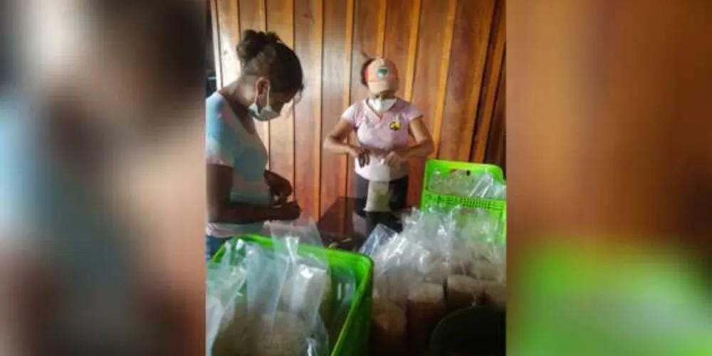Imagem ilustrativa da imagem Assentamento entrega 500 cestas de alimentos em PG