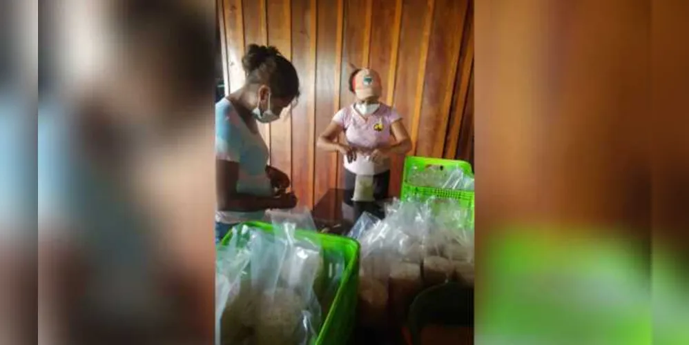 Imagem ilustrativa da imagem Assentamento entrega 500 cestas de alimentos em PG
