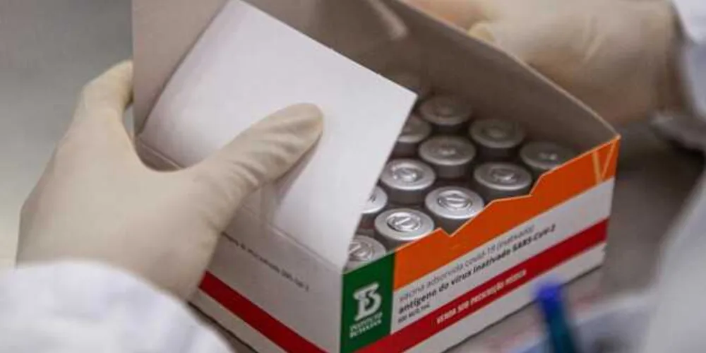 Com esse lote, o instituto totalizará 3,753 milhões de doses entregues ao Programa Nacional de Imunizações