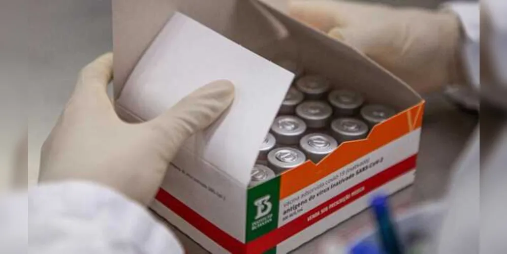 Com esse lote, o instituto totalizará 3,753 milhões de doses entregues ao Programa Nacional de Imunizações