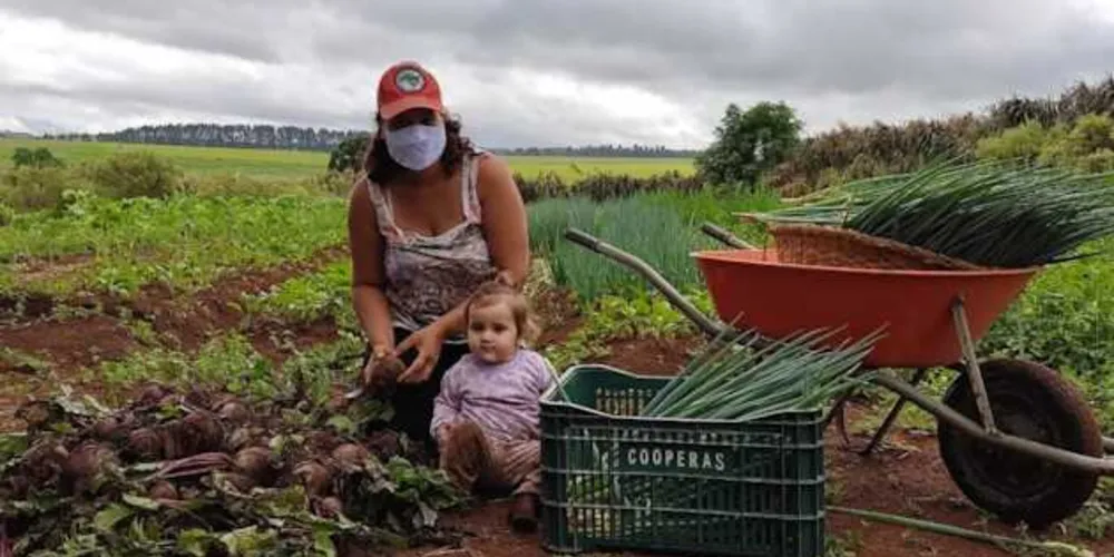 A iniciativa organizada para ocorrer em Castro integra a Jornada Nacional das Mulheres Sem Terra