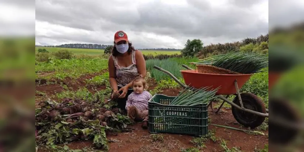 A iniciativa organizada para ocorrer em Castro integra a Jornada Nacional das Mulheres Sem Terra