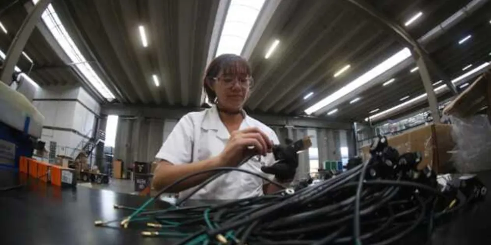  Vínculos no setor de fios e alimentos foi maior para mulheres que para homens