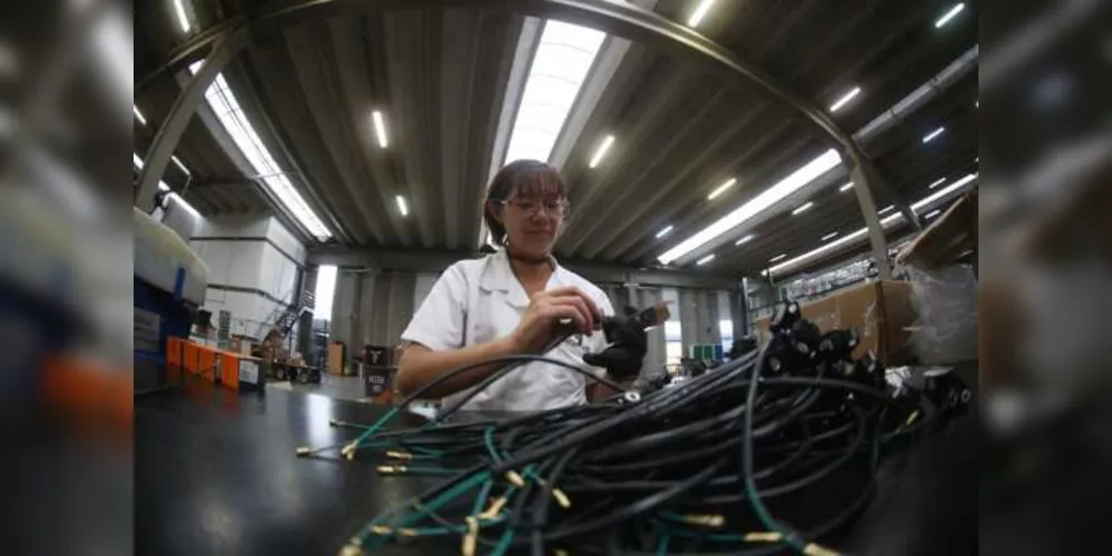  Vínculos no setor de fios e alimentos foi maior para mulheres que para homens