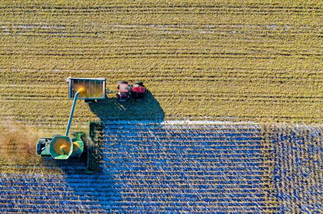 Imagem ilustrativa da imagem Conab estima colheita de 264,8 milhões de toneladas de grãos