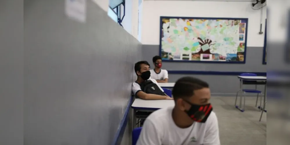 Estudo é da Universidade de São Paulo (USP).