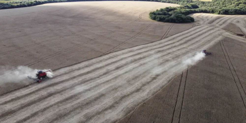 Paraná teve a produção de soja afetada, sobretudo por fatores climáticos, o que levou a menor redução no volume exportado no primeiro quadrimestre