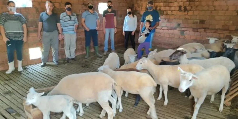 Atividade desenvolvida pela prefeitura tem como objetivo qualificar o atendimento aos ovinocultores do município