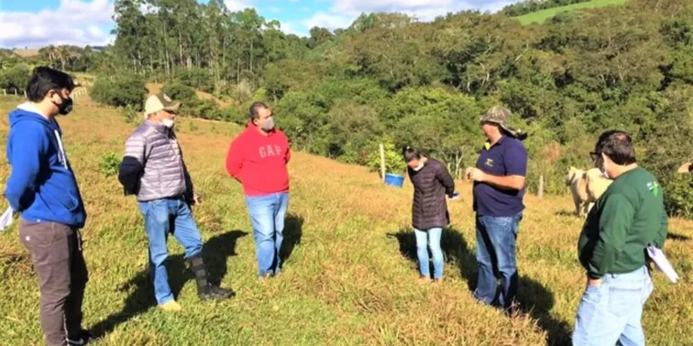Representantes visitaram a cidade de Cândido de Abreu para conhecer novas técnicas de pastagem