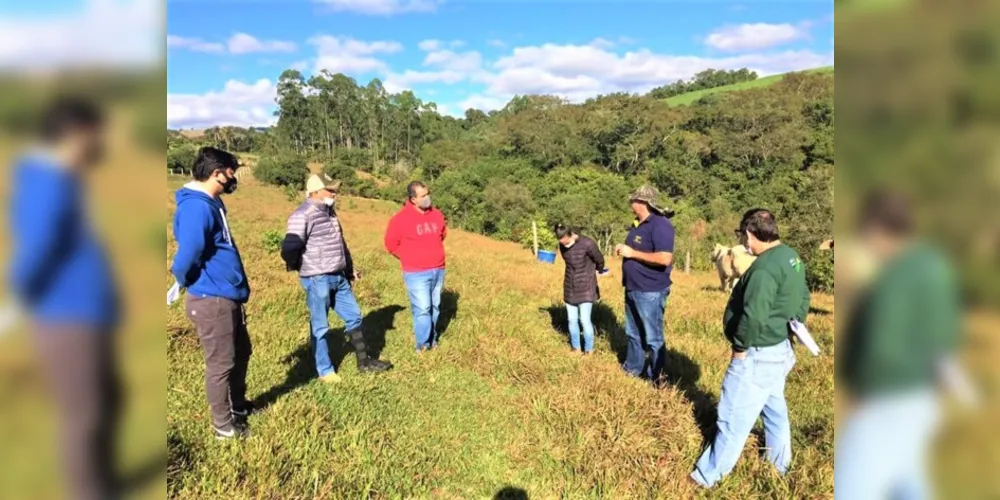 Representantes visitaram a cidade de Cândido de Abreu para conhecer novas técnicas de pastagem