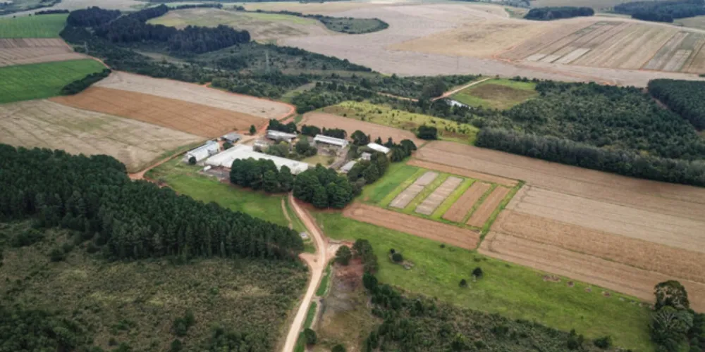 Área que abriga as estruturas da Fazenda Modelo da Embrapa poderá receber a ESA 