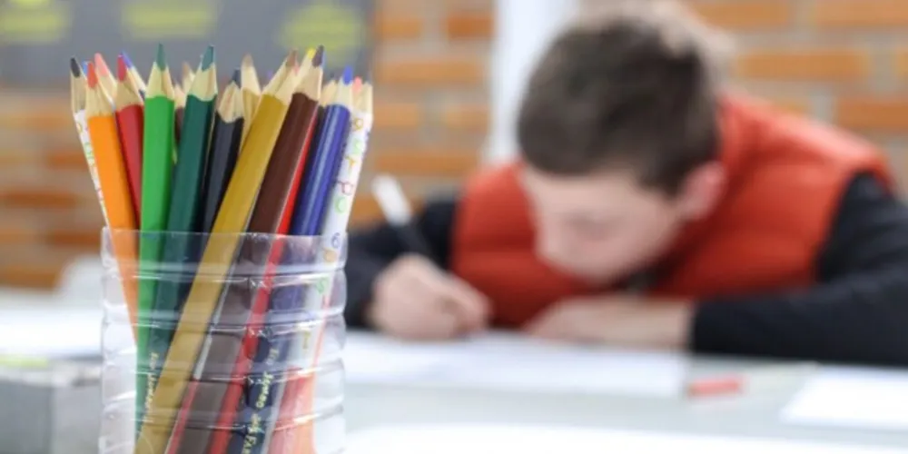 Imagem ilustrativa da imagem Núcleos de estudos capacitam professores sobre violência