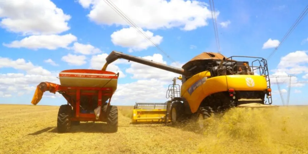 A soja é o principal produto produzido no Paraná e em todo o Brasil