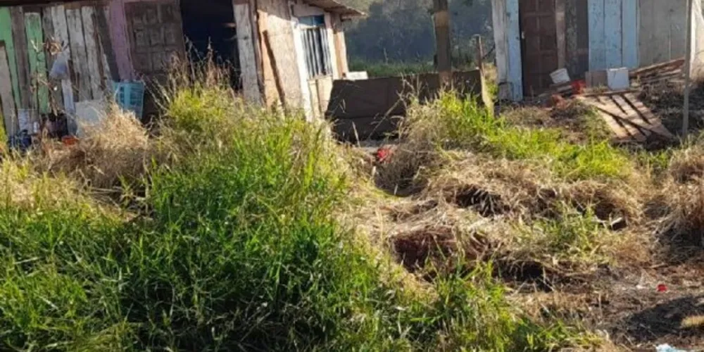 Aproximadamente 65 pessoas formam o grupo que está em processo de ocupação da área