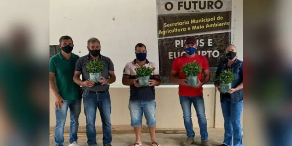 Cerca de 20 mil mudas de erva mate foram entregues para 64 produtores agrícolas