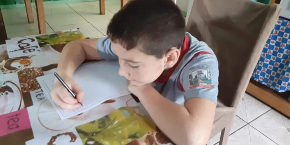 Estrutura, planejamento e escrita foram estudados pela turma