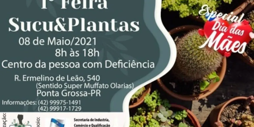 Imagem ilustrativa da imagem PG recebe 1ª feira Sucu&Plantas Princesa dos Campos