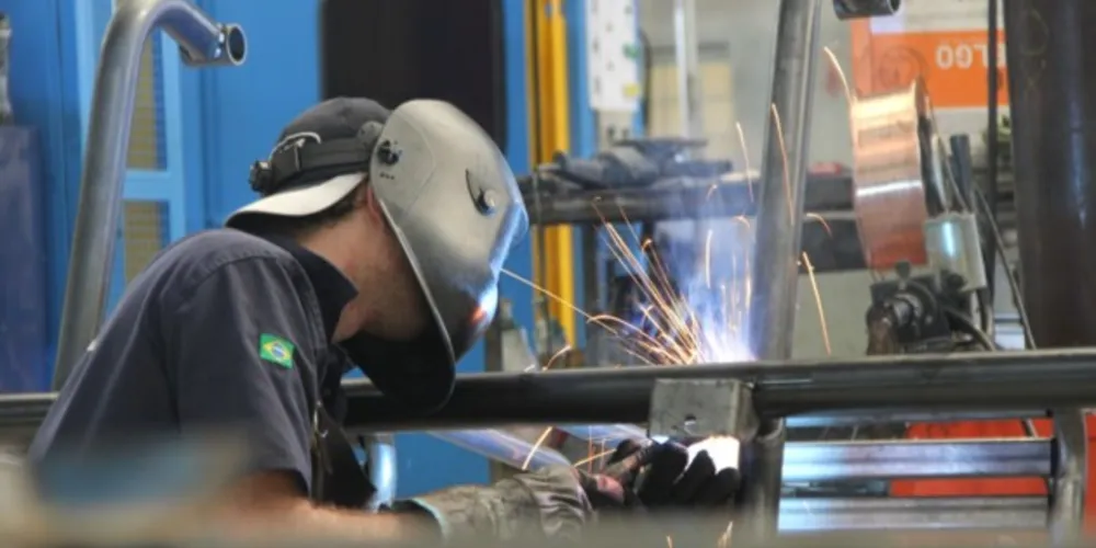 Setor aumentou a produção e cresceu participação no país