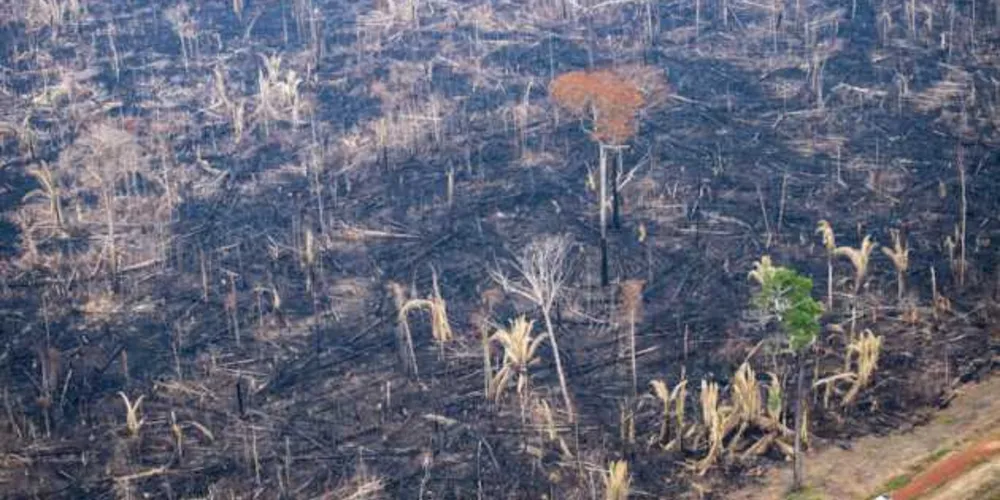 Houve um aumento de 50% em relação ao último ano. 