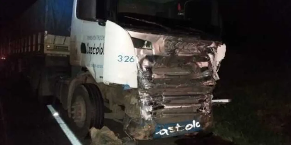 Acidente envolveu uma caminhonete GM D20 e um caminhão Scania no km 233 da rodovia