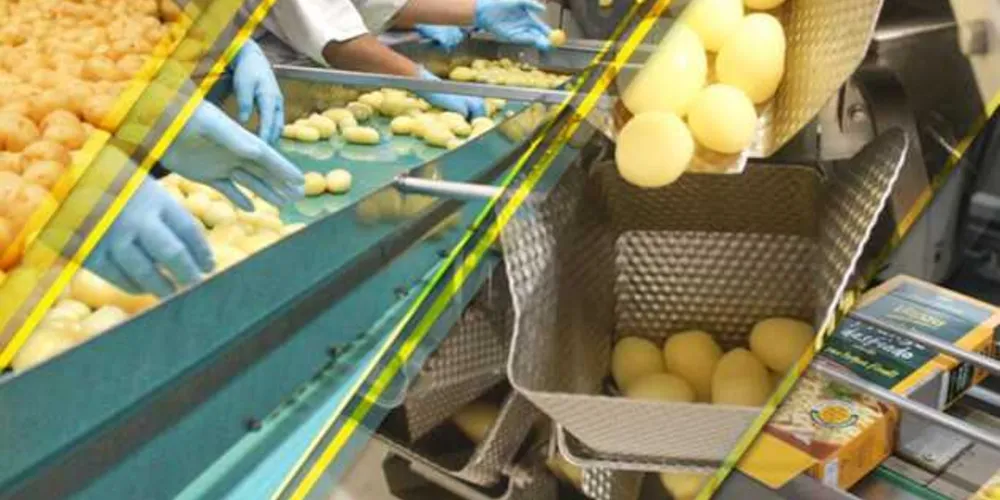 Atualmente, a Vapza possui em seu portfólio mais de 45 produtos