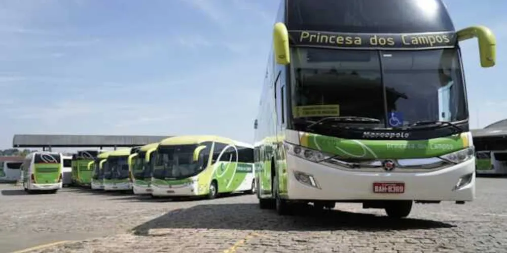 Imagem ilustrativa da imagem Empresa de PG apoia campanha contra transporte irregular