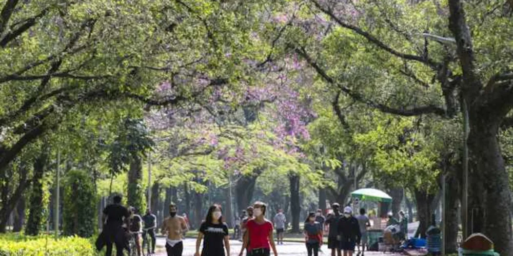 A Organização das Nações Unidas (ONU) celebra a data desde 2013, como uma forma de reconhecer a importância da felicidade na vida das pessoas