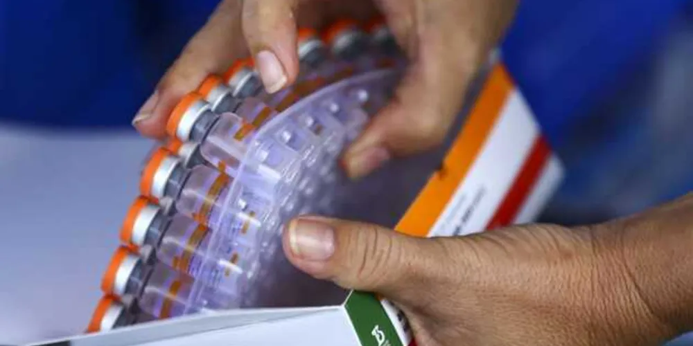 O Butantan formou uma força-tarefa para acelerar a produção de doses da vacina para todo o país
