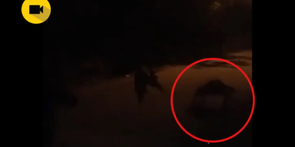 Imagem ilustrativa da imagem Vídeo assustador mostra suposto Lobisomen do PR