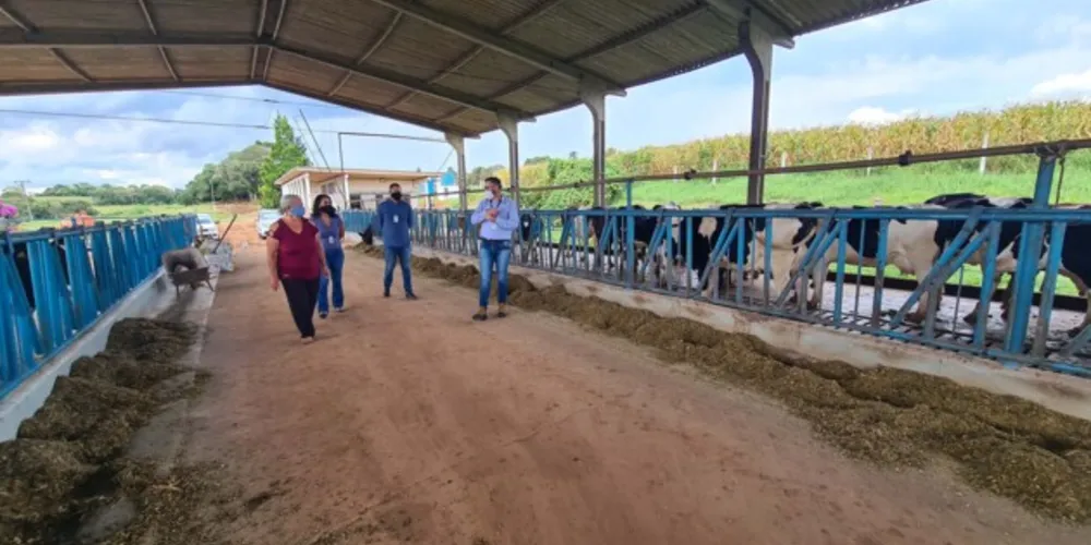 Orientados pela cooperativa, bovinocultores adotam boas práticas ambientais.