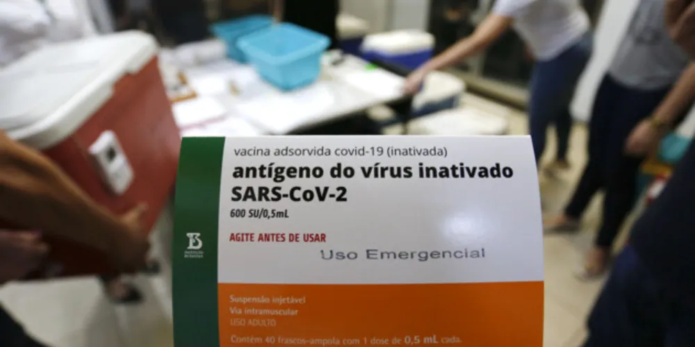 Adultos fora dos grupos prioritários devem ser vacinados só no segundo semestre.