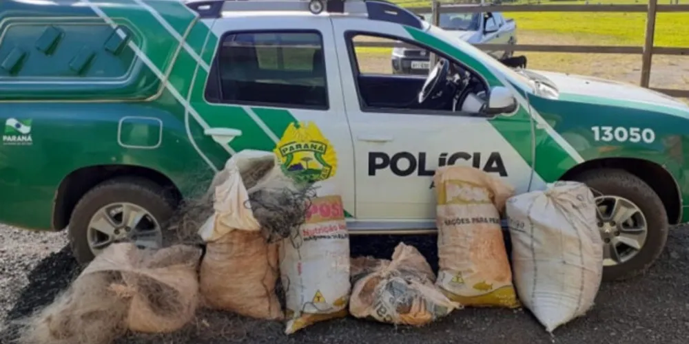 Imagem ilustrativa da imagem ​Polícia Ambiental atende 15 mil ocorrências em 2020