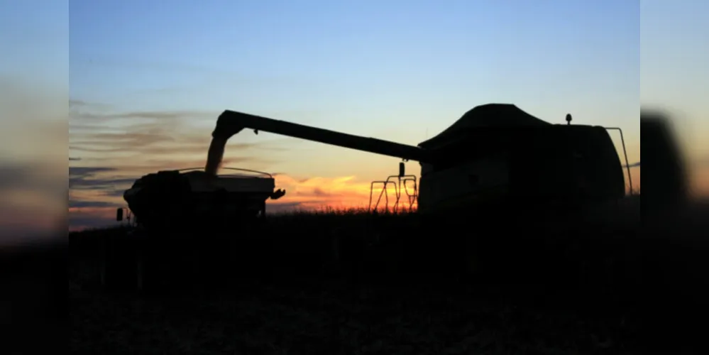 Cooperativas paranaenses estão entre as maiores do País