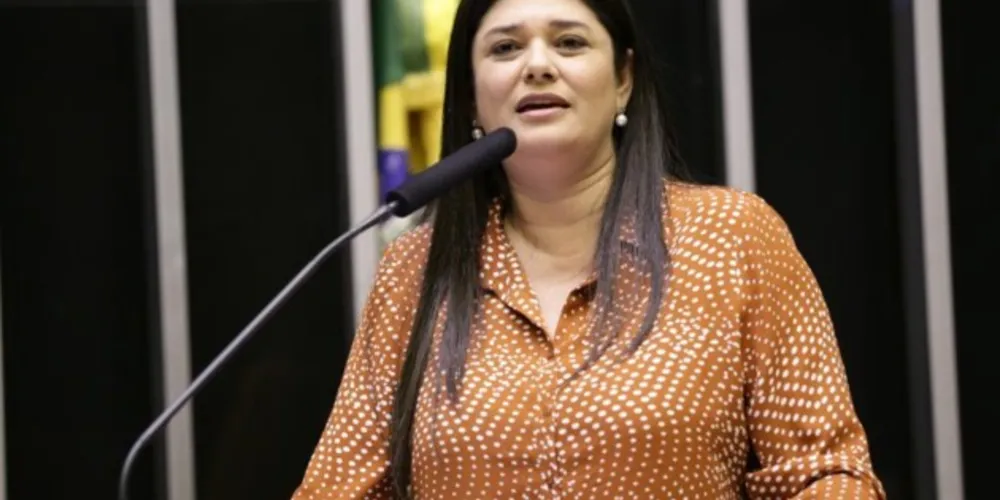 Autora do projeto é a deputada Rose Modesto (PSDB).