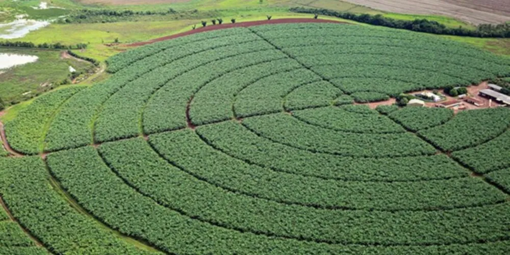 Imagem ilustrativa da imagem IBGE prevê safra recorde de 264,9 mi de toneladas para 2021