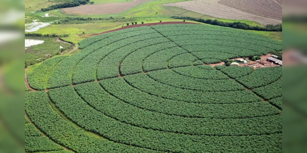 Imagem ilustrativa da imagem IBGE prevê safra recorde de 264,9 mi de toneladas para 2021