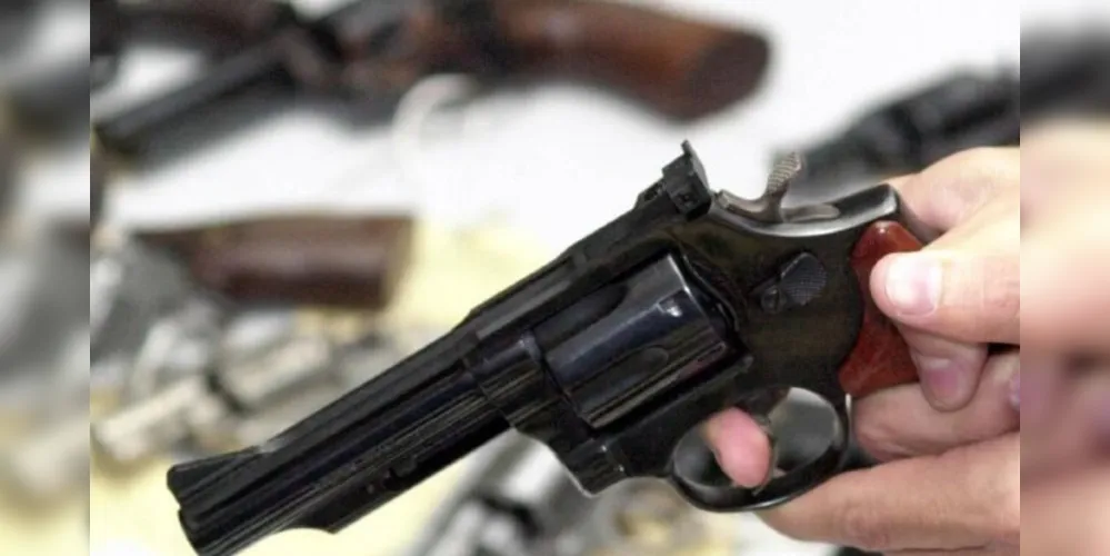 Objetivo é desburocratizar e ampliar o acesso a armas de fogo