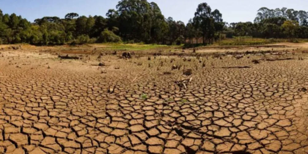 Passaúna, no Paraná, enfrenta grave crise com a forte estiagem