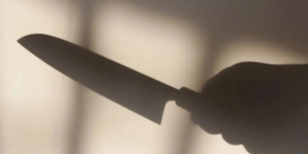 Imagem ilustrativa da imagem Trabalhador é morto a facadas e esposa é a principal suspeita
