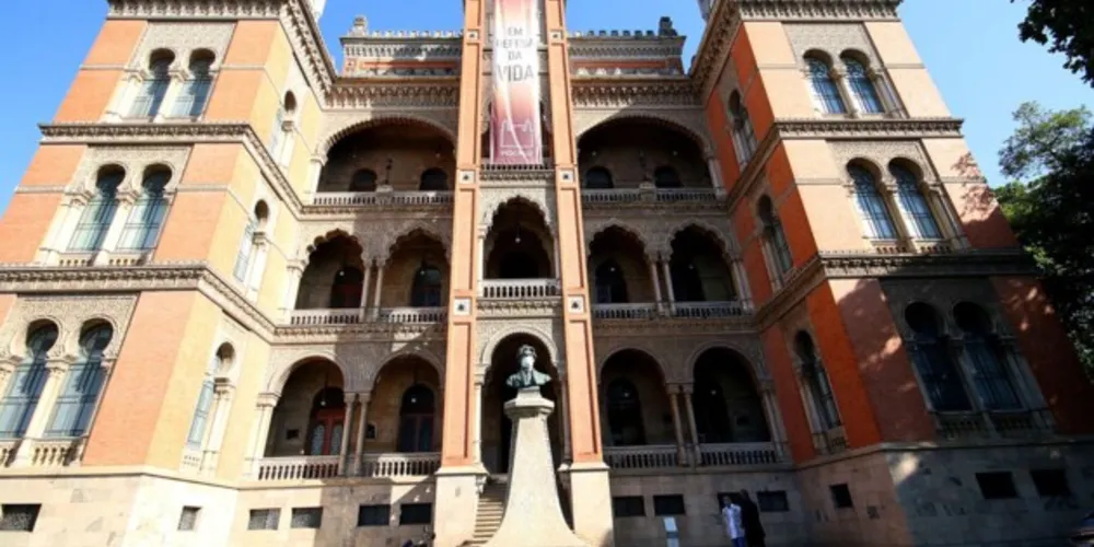 Imagem ilustrativa da imagem Pandemia de covid-19 faz vítimas cada vez mais jovens