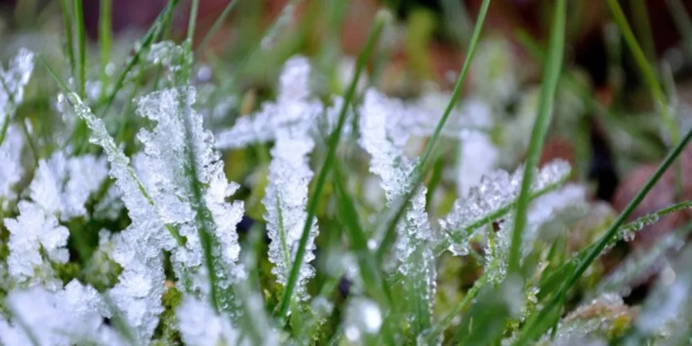 Sul do Paraná pode registrar temperaturas abaixo de zero.