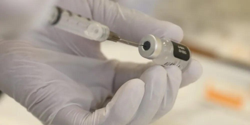  Atualmente, três imunizantes estão sendo desenvolvidos com apoio do Ministério da Ciência e Tecnologia e Inovação