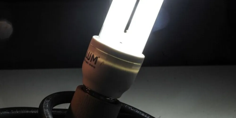 Lâmpadas de LED são mais econômicas que as normais 