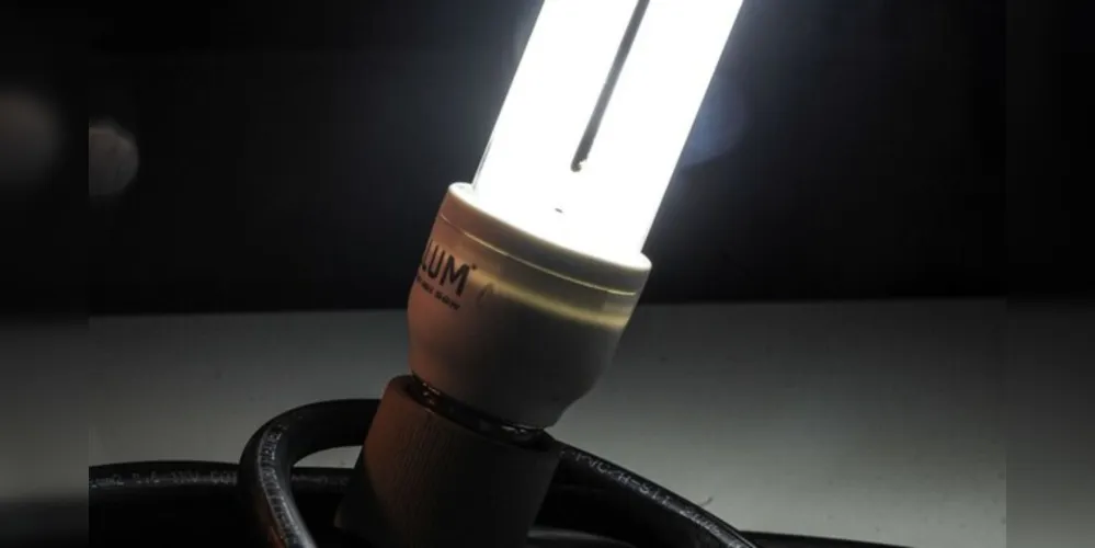 Lâmpadas de LED são mais econômicas que as normais 