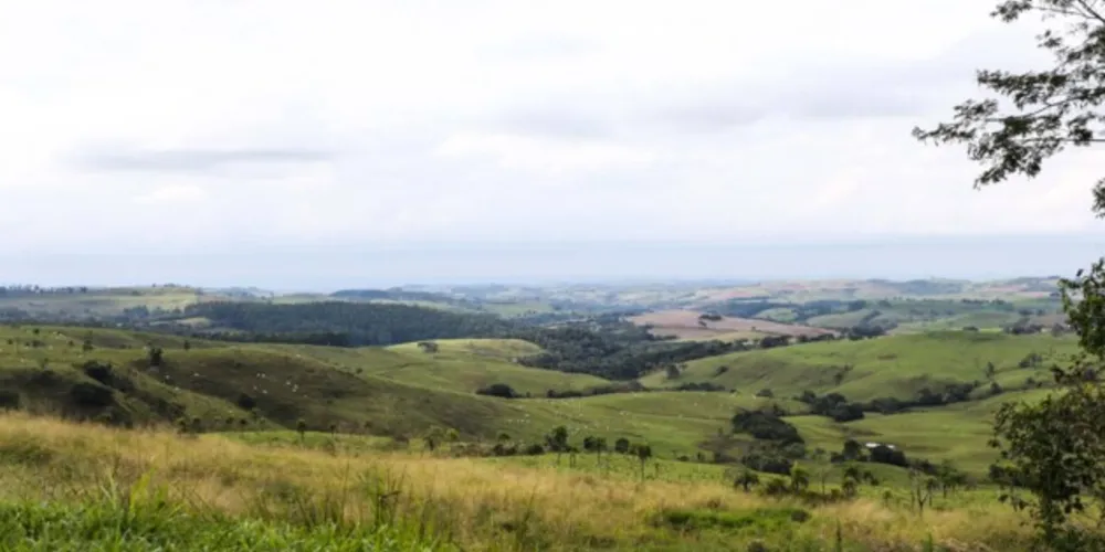 Valor médio é de R$ 58,9 mil o hectare este ano